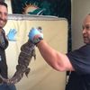 NJ Cops Found This Alligator While Executing Search Warrant 